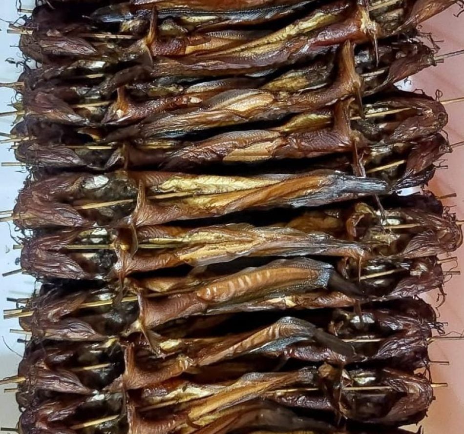 Nilai Jual Lele Meningkat 100 Persen Lebih: Apa yang Dilakukan Warga Desa?