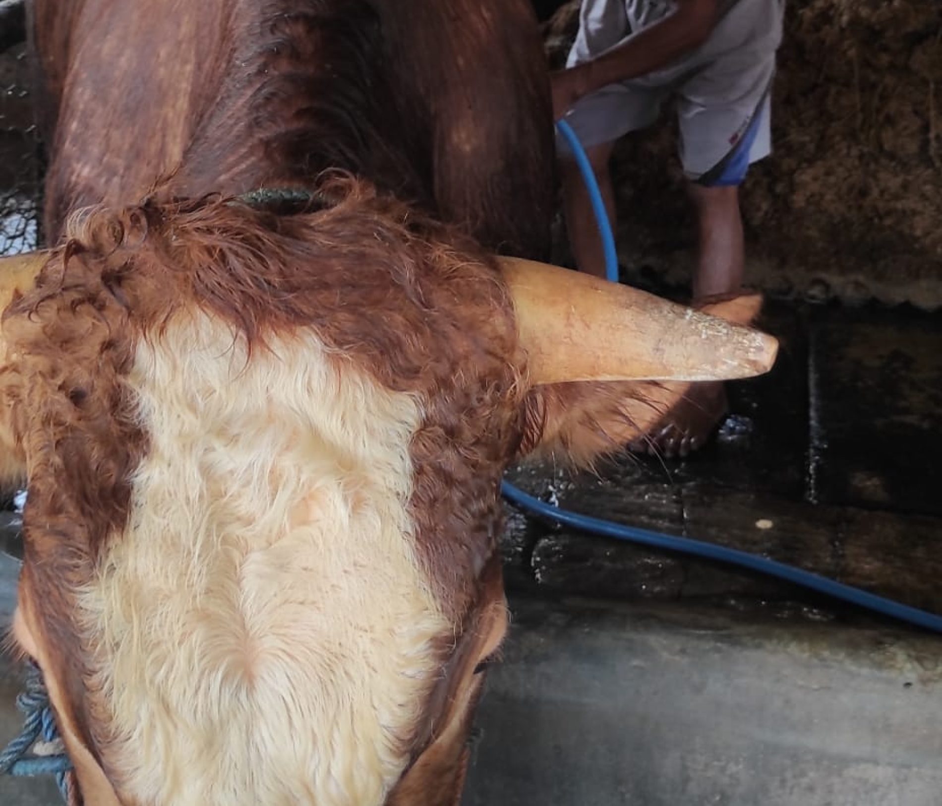 Empat Potensi Wisata Padukuhan Semoya Meliputi Wisata Edukasi, Atraksi Budaya, Keindahan Alam, dan Kuliner