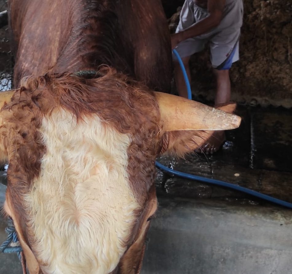 Empat Potensi Wisata Padukuhan Semoya Meliputi Wisata Edukasi, Atraksi Budaya, Keindahan Alam, dan Kuliner