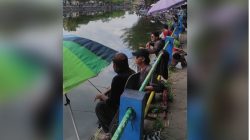 Pendapatan Pemancingan di Embung Potorono Mencapai Ratusan Juta Rupiah