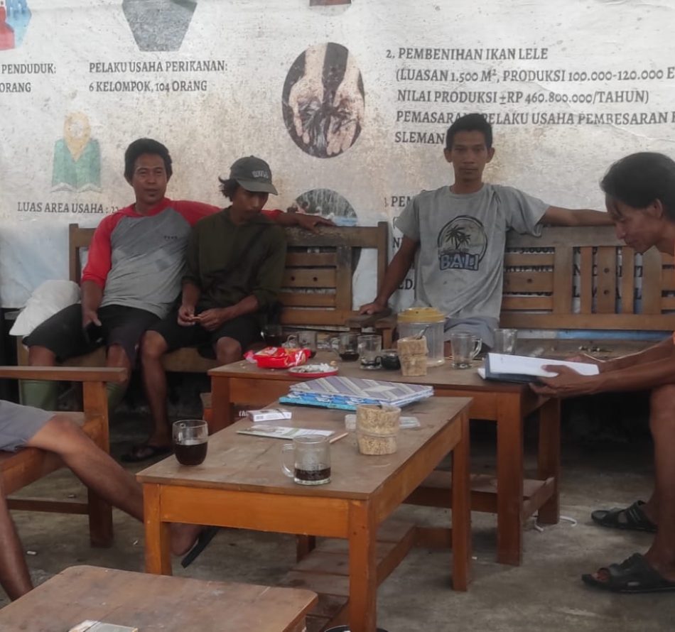 Awas! Produksi Ikan Lele Pada Juli 2026 Terjadi Penurunan