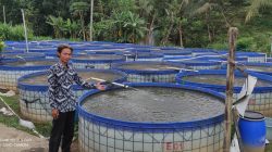 40.000 Desa Budidaya Ikan dengan Teknologi Mini RAS
