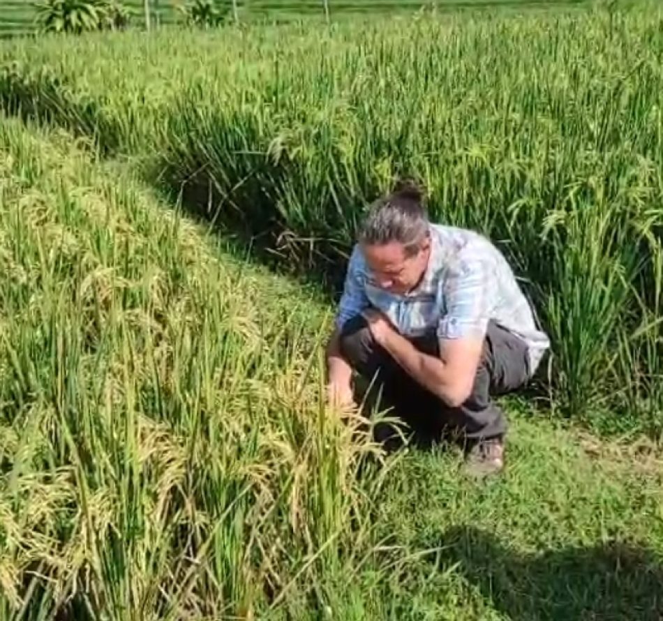 Storyteller Inggris Roy Galor: Terpikat Tandur, Bumbu Dapur, dan Borobudur