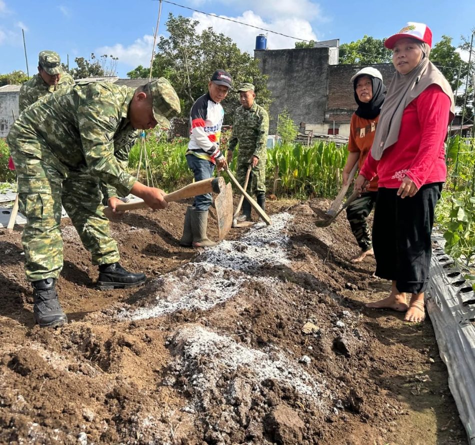Perkuat Ketahanan Pangan, Koramil 11/Depok Salurkan 300 Bibit Cabai kepada KWT Teratai Mekar